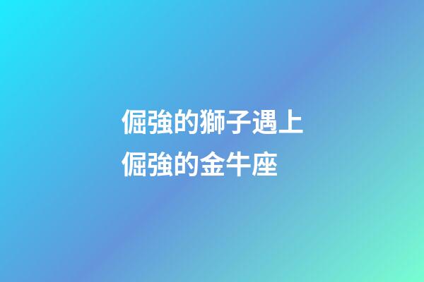 倔強的獅子遇上倔強的金牛座-第1張-星座運勢-玄機派