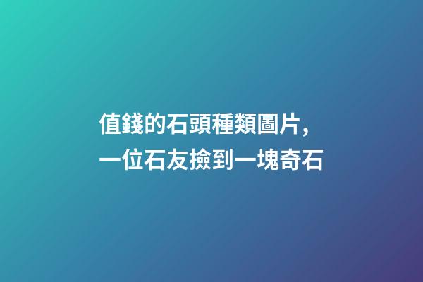 值錢的石頭種類圖片,一位石友撿到一塊奇石-第1張-觀點(diǎn)-玄機(jī)派