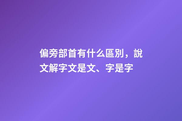 偏旁部首有什么區別，說文解字文是文、字是字-第1張-觀點-玄機派