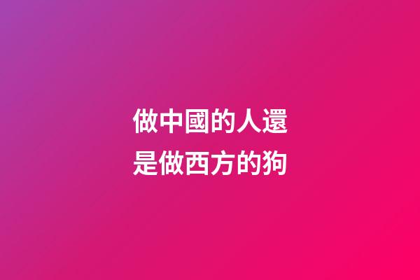 做中國的人還是做西方的狗