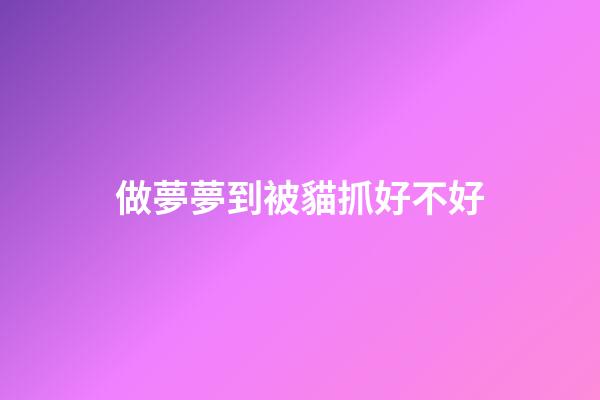 做夢夢到被貓抓好不好