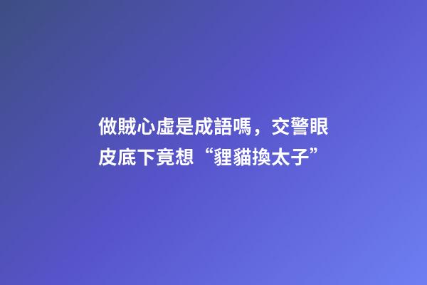 做賊心虛是成語嗎，交警眼皮底下竟想“貍貓換太子”-第1張-觀點-玄機派
