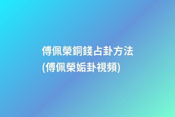 傅佩榮銅錢占卦方法(傅佩榮姤卦視頻)