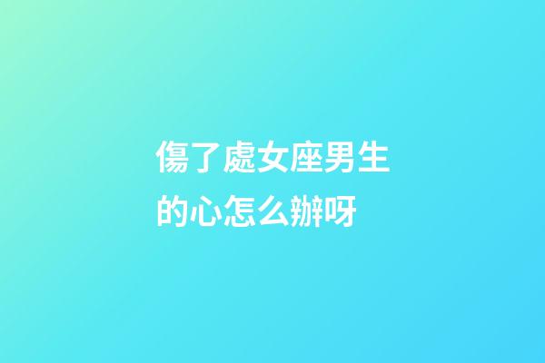 傷了處女座男生的心怎么辦呀-第1張-星座運勢-玄機派