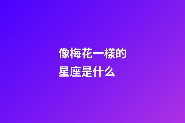 像梅花一樣的星座是什么-第1張-星座運勢-玄機派