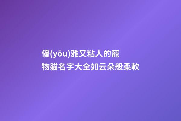 優(yōu)雅又粘人的寵物貓名字大全如云朵般柔軟