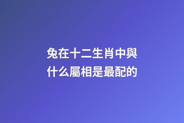 兔在十二生肖中與什么屬相是最配的