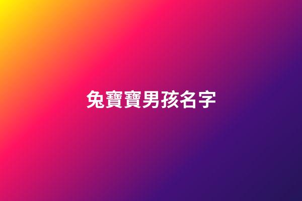 兔寶寶男孩名字(兔寶寶男孩名字李)-第1張-男孩起名-玄機派
