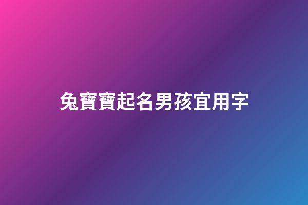 兔寶寶起名男孩宜用字(2023兔寶寶起名男孩宜用字)-第1張-男孩起名-玄機派