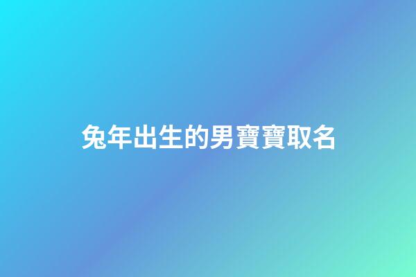 兔年出生的男寶寶取名(兔年出生的男寶寶取名草字頭怎么取)-第1張-男孩起名-玄機派