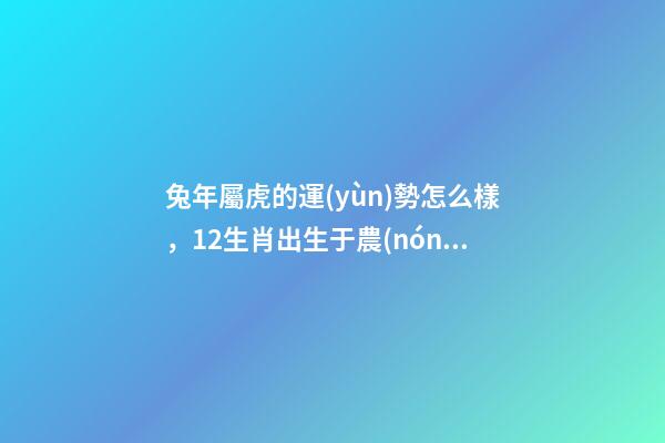 兔年屬虎的運(yùn)勢怎么樣，12生肖出生于農(nóng)歷這幾個月運(yùn)勢最好(一)-第1張-觀點(diǎn)-玄機(jī)派