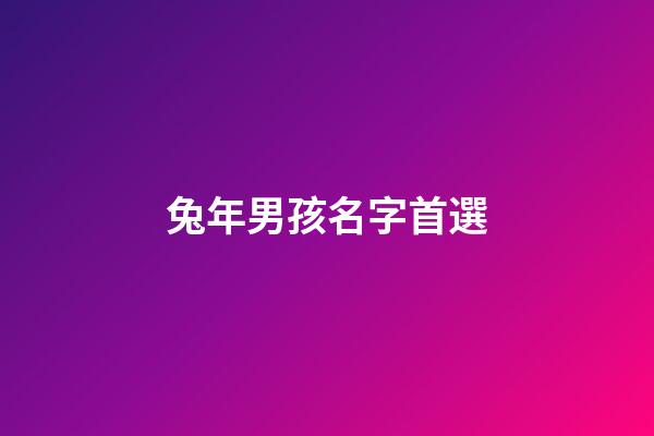 兔年男孩名字首選(2023年最旺男孩名字)-第1張-男孩起名-玄機派