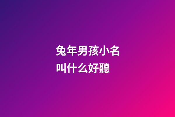 兔年男孩小名叫什么好聽(兔年男孩小名叫什么好聽點)-第1張-男孩起名-玄機派