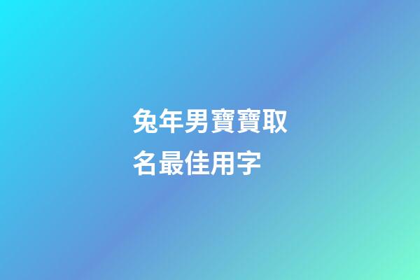兔年男寶寶取名最佳用字(朱姓兔年男寶寶取名最佳用字)-第1張-男孩起名-玄機派