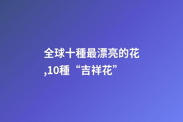 全球十種最漂亮的花,10種“吉祥花”-第1張-觀點-玄機派