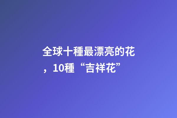 全球十種最漂亮的花，10種“吉祥花”-第1張-觀點-玄機派