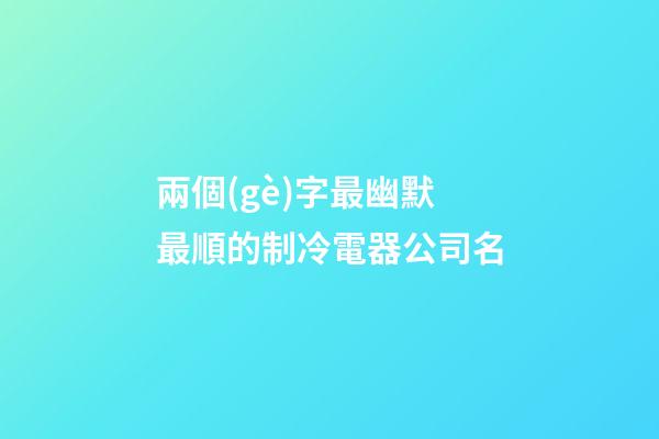 兩個(gè)字最幽默最順的制冷電器公司名