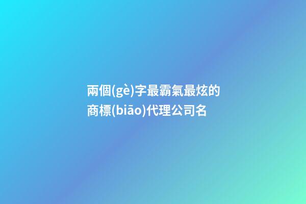 兩個(gè)字最霸氣最炫的商標(biāo)代理公司名-第1張-公司起名-玄機(jī)派
