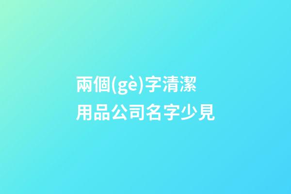 兩個(gè)字清潔用品公司名字少見-第1張-公司起名-玄機(jī)派