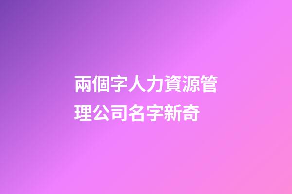 兩個字人力資源管理公司名字新奇