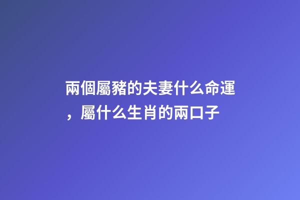 兩個屬豬的夫妻什么命運，屬什么生肖的兩口子
