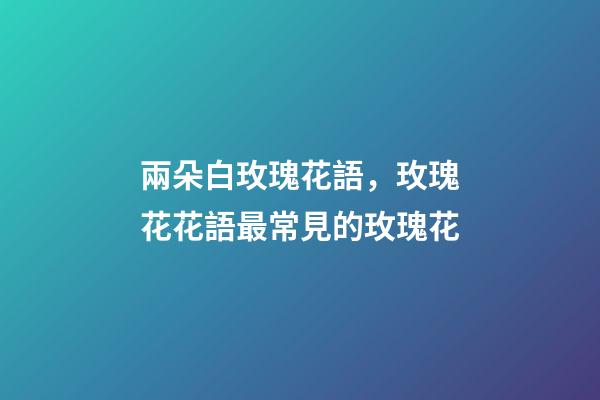 兩朵白玫瑰花語，玫瑰花花語最常見的玫瑰花-第1張-觀點-玄機派