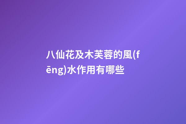 八仙花及木芙蓉的風(fēng)水作用有哪些?