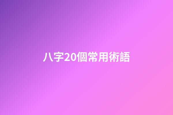 八字20個常用術語