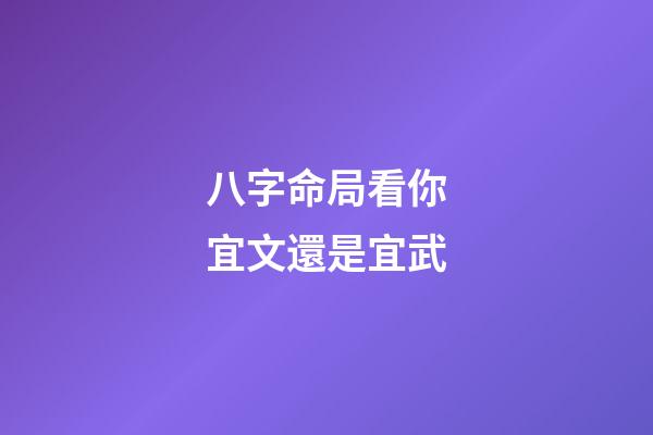 八字命局看你宜文還是宜武