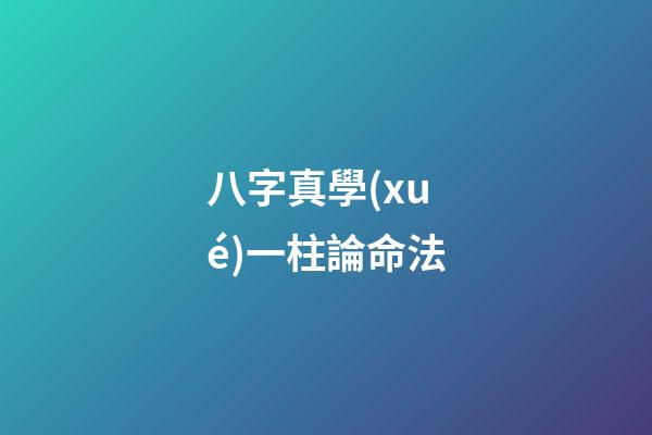 八字真學(xué)一柱論命法