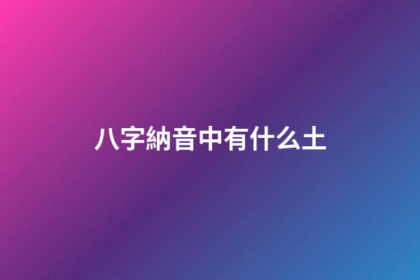 八字納音中有什么土