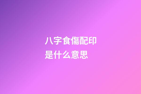 八字食傷配印是什么意思
