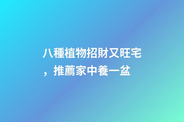 八種植物招財又旺宅，推薦家中養一盆
