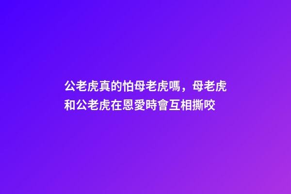 公老虎真的怕母老虎嗎，母老虎和公老虎在恩愛時會互相撕咬-第1張-觀點-玄機派