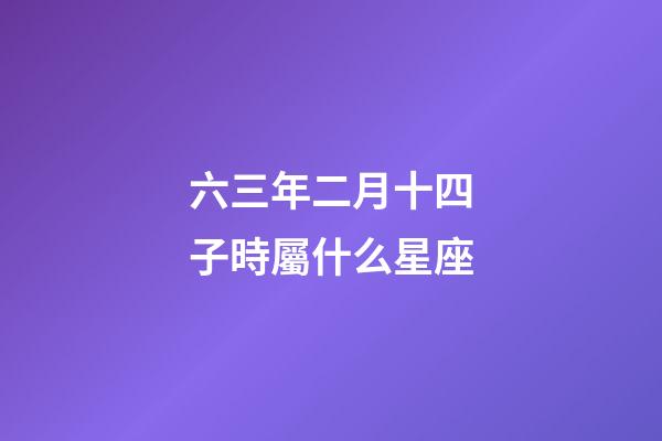 六三年二月十四子時屬什么星座-第1張-星座運勢-玄機派