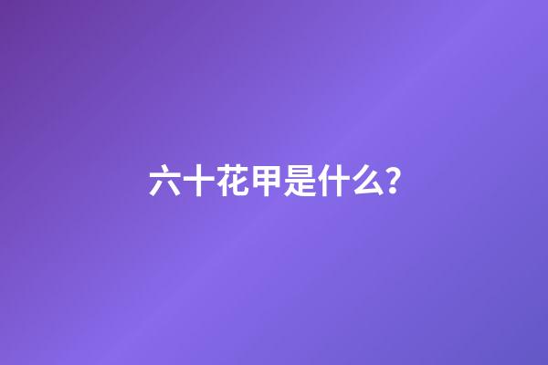 六十花甲是什么？