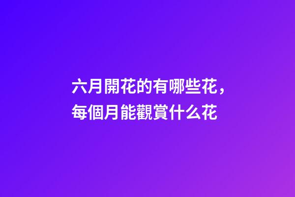 六月開花的有哪些花，每個月能觀賞什么花-第1張-觀點-玄機派