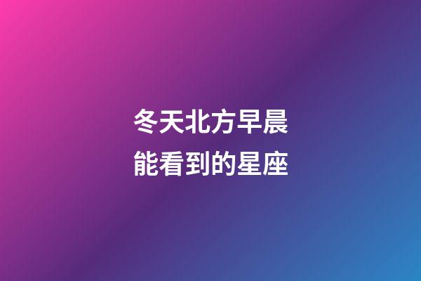 冬天北方早晨能看到的星座-第1張-星座運勢-玄機派