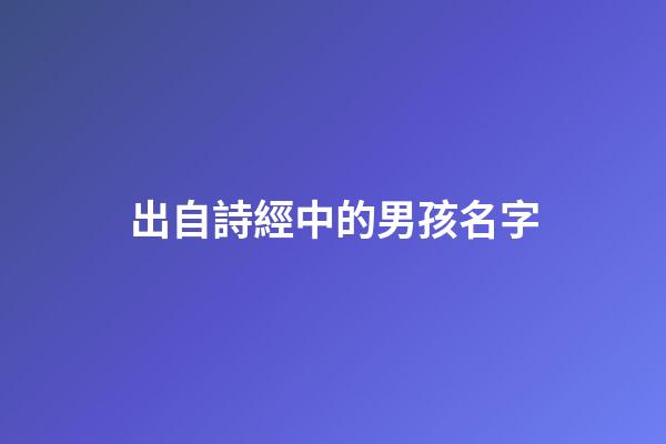 出自詩經中的男孩名字(出自詩經中的男孩名字有哪些)-第1張-男孩起名-玄機派