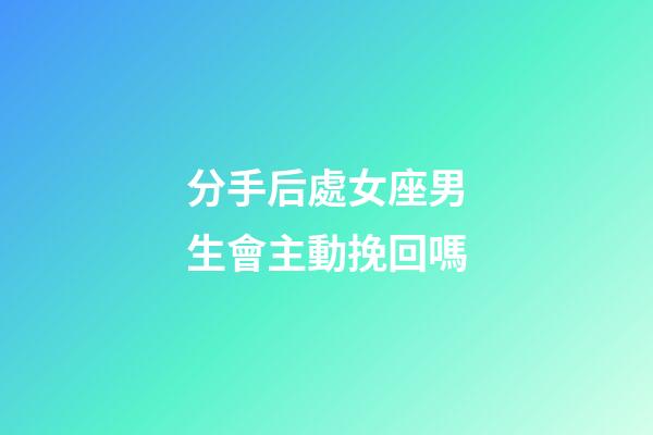 分手后處女座男生會主動挽回嗎-第1張-星座運勢-玄機派