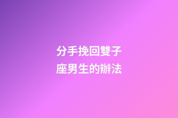 分手挽回雙子座男生的辦法-第1張-星座運勢-玄機派