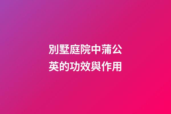 別墅庭院中蒲公英的功效與作用