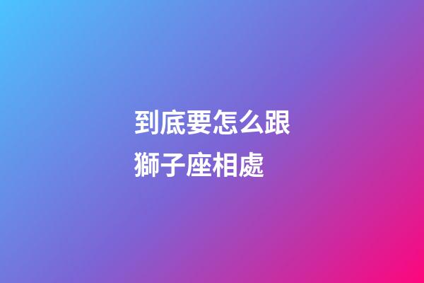 到底要怎么跟獅子座相處-第1張-星座運(yùn)勢(shì)-玄機(jī)派