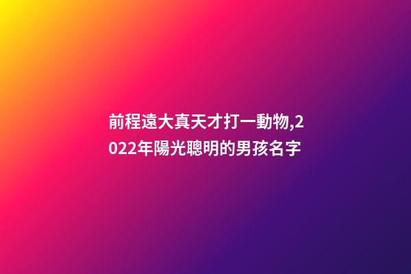 前程遠大真天才打一動物,2022年陽光聰明的男孩名字-第1張-觀點-玄機派