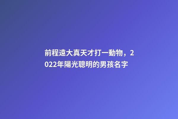 前程遠大真天才打一動物，2022年陽光聰明的男孩名字-第1張-觀點-玄機派