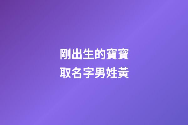 剛出生的寶寶取名字男姓黃(剛出生的寶寶取名字男姓黃怎么取)-第1張-男孩起名-玄機派