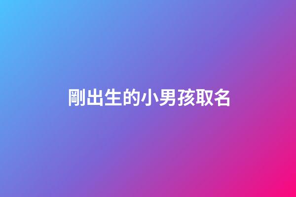 剛出生的小男孩取名(剛出生的男寶寶名字大全)-第1張-男孩起名-玄機(jī)派