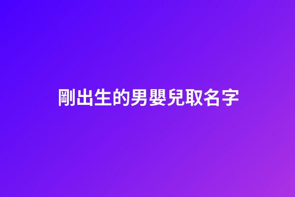 剛出生的男嬰兒取名字(剛出生的男嬰兒取名字怎么取)-第1張-男孩起名-玄機派