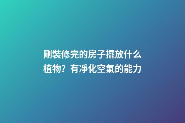 剛裝修完的房子擺放什么植物？有凈化空氣的能力