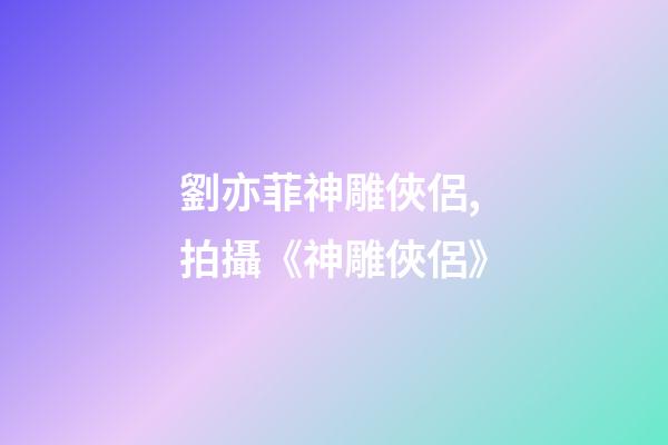 劉亦菲神雕俠侶,拍攝《神雕俠侶》-第1張-觀點-玄機派